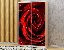Наклейка на шафу-купе 220 х 102 см на 2 двері троянда (БП_а_fl102531), фото 5