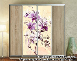 Наклейка на шафу-купе 220 х 60 см на 2 двері  Орхідеї (БП_а_fl102540), фото 2
