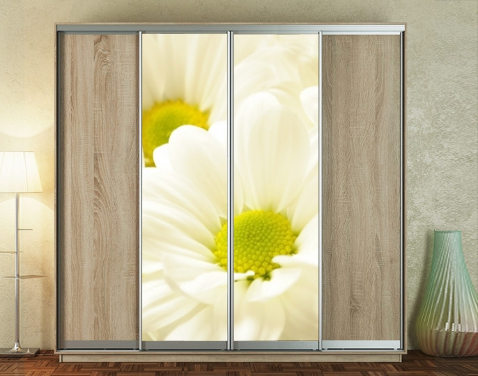 Наклейка на шафу-купе 220 х 60 см на 2 двері  Ромашки (БП_а_fl13405)