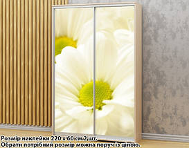 Наклейка на шафу-купе 220 х 60 см на 2 двері Ромашки (БП_а_fl13405), фото 6