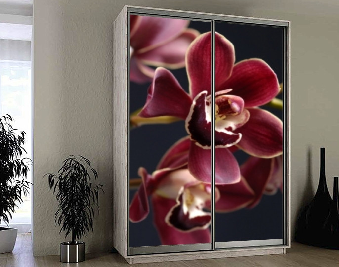 Наклейка на шафу-купе 220 х 74 см на 2 двері  Орхідеї (БП_а_fl102551)