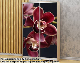 Наклейка на шафу-купе 220 х 74 см на 2 двері  Орхідеї (БП_а_fl102551), фото 2