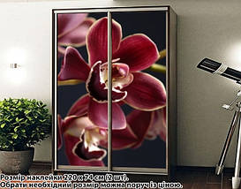 Наклейка на шафу-купе 220 х 74 см на 2 двері  Орхідеї (БП_а_fl102551), фото 3