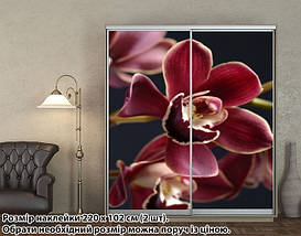 Наклейка на шафу-купе 220 х 74 см на 2 двері  Орхідеї (БП_а_fl102551), фото 4