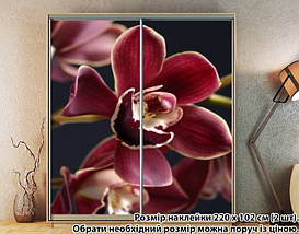 Наклейка на шафу-купе 220 х 74 см на 2 двері  Орхідеї (БП_а_fl102551), фото 5