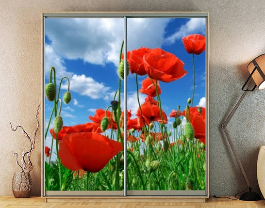 Наклейка на шафу-купе 220 х 102 см на 2 двері  маки (БП_а_fl102552), фото 1