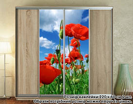 Наклейка на шафу-купе 220 х 102 см на 2 двері  маки (БП_а_fl102552), фото 2
