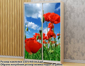 Наклейка на шафу-купе 220 х 102 см на 2 двері  маки (БП_а_fl102552), фото 3