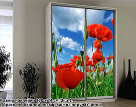 Наклейка на шафу-купе 220 х 102 см на 2 двері  маки (БП_а_fl102552), фото 4
