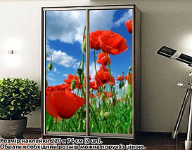 Наклейка на шафу-купе 220 х 102 см на 2 двері  маки (БП_а_fl102552), фото 5