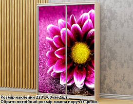 Наклейка на шафу-купе 220 х 60 см на 2 двері  квітка (БП_а_fl102553), фото 2