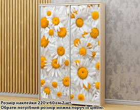 Наклейка на шафу-купе 220 х 74 см на 2 двері Ромашки (БП_а_fl13423), фото 3