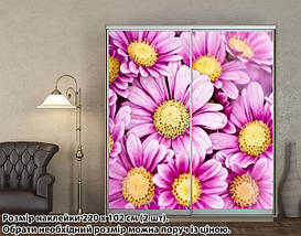 Наклейка на шафу-купе 220 х 60 см на 2 двері  Ромашки (БП_а_fl102597), фото 5