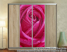Наклейка на шафу-купе 220 х 102 см на 2 двері Малинова троянда (БП_а_fl13432), фото 4