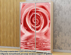 Наклейка на шафу-купе 220 х 74 см на 2 двері троянда (БП_а_fl13442), фото 5