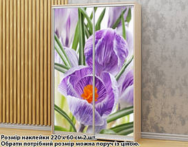 Наклейка на шафу-купе 220 х 102 см на 2 двері крокус (БП_а_fl102678), фото 3