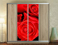 Наклейка на шкаф-купе 220 х 60 см на 2 двери розы (БП_а_fl102723)