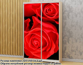 Наклейка на шафу-купе 220 х 60 см на 2 двері  троянди (БП_а_fl102723), фото 2