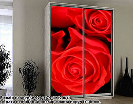 Наклейка на шафу-купе 220 х 60 см на 2 двері  троянди (БП_а_fl102723), фото 3