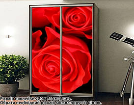 Наклейка на шафу-купе 220 х 60 см на 2 двері  троянди (БП_а_fl102723), фото 4