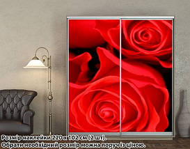 Наклейка на шафу-купе 220 х 60 см на 2 двері  троянди (БП_а_fl102723), фото 5