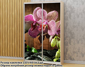 Наклейка на шафу-купе 220 х 60 см на 2 двері Орхідеї (БП_а_fl13468), фото 2