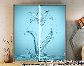 Наклейка на шафу-купе 220 х 74 см на 2 двері водяна лілія (БП_а_fl102800), фото 4