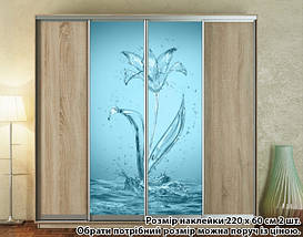 Наклейка на шафу-купе 220 х 74 см на 2 двері водяна лілія (БП_а_fl102800), фото 5