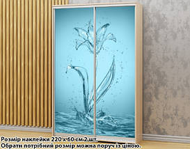 Наклейка на шафу-купе 220 х 74 см на 2 двері водяна лілія (БП_а_fl102800), фото 6
