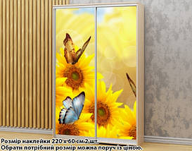 Наклейка на шафу-купе 220 х 74 см на 2 двері Соняшники (БП_а_fl13491), фото 2