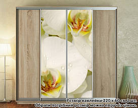 Наклейка на шафу-купе 220 х 102 см на 2 двері Орхідеї (БП_а_fl13516), фото 5