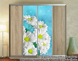 Наклейка на шафу-купе 220 х 102 см на 2 двері Ромашки (БП_а_fl102815), фото 3