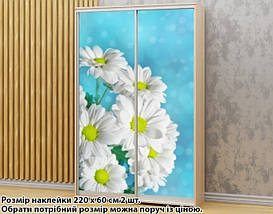 Наклейка на шафу-купе 220 х 102 см на 2 двері Ромашки (БП_а_fl102815), фото 4