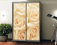 Наклейка на шкаф-купе 220 х 74 см на 2 двери розы (БП_а_fl102879)