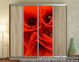 Наклейка на шафу-купе 220 х 60 см на 2 двері  маки (БП_а_fl13527), фото 2