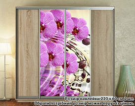 Наклейка на шафу-купе 220 х 102 см на 2 двері Орхідеї (БП_а_fl102995), фото 3
