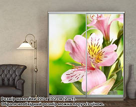 Наклейка на шафу-купе 220 х 60 см на 2 двері Лілія (БП_а_fl103000), фото 5