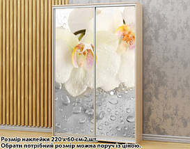 Наклейка на шафу-купе 220 х 102 см на 2 двері  Білі орхідеї (БП_а_fl13563), фото 3
