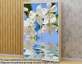 Наклейка на шафу-купе 220 х 60 см на 2 двері  Квіти вишні (БП_а_fl13566), фото 5