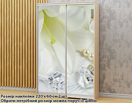 Наклейка на шафу-купе 220 х 102 см на 2 двері лілії (БП_а_fl13578), фото 5