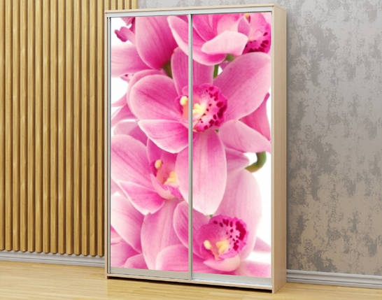 Наклейка на шафу-купе 220 х 60 см на 2 двері Орхідеї (БП_а_fl103119), фото 1