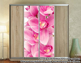Наклейка на шафу-купе 220 х 60 см на 2 двері Орхідеї (БП_а_fl103119), фото 2