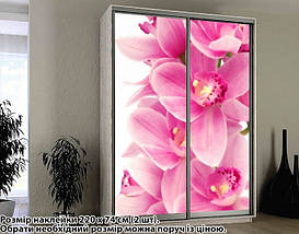 Наклейка на шафу-купе 220 х 60 см на 2 двері Орхідеї (БП_а_fl103119), фото 3