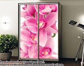 Наклейка на шафу-купе 220 х 60 см на 2 двері Орхідеї (БП_а_fl103119), фото 4