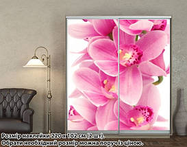 Наклейка на шафу-купе 220 х 60 см на 2 двері Орхідеї (БП_а_fl103119), фото 5