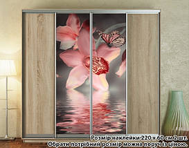Наклейка на шафу-купе 220 х 60 см на 2 двері Орхідеї (БП_а_fl13581), фото 5
