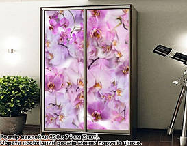 Наклейка на шафу-купе 220 х 60 см на 2 двері Орхідеї (БП_а_fl103278), фото 2