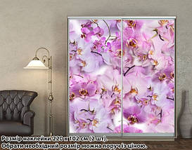 Наклейка на шафу-купе 220 х 60 см на 2 двері Орхідеї (БП_а_fl103278), фото 3