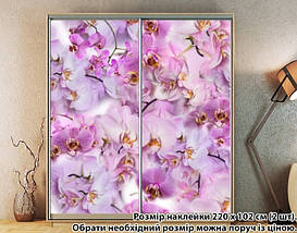 Наклейка на шафу-купе 220 х 60 см на 2 двері Орхідеї (БП_а_fl103278), фото 4