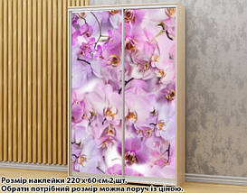 Наклейка на шафу-купе 220 х 60 см на 2 двері Орхідеї (БП_а_fl103278), фото 5